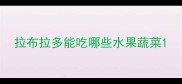 拉布拉多能吃哪些水果蔬菜