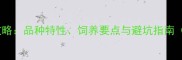 小拉布拉多选购全攻略品种特性饲养要点与避坑指南附详细对比表格