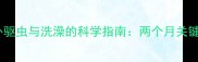猫咪外驱虫与洗澡的科学指南两个月关键期全