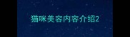 猫咪美容内容介绍