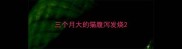 三个月大的猫腹泻发烧