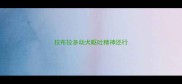 拉布拉多幼犬呕吐精神还行