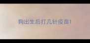 狗出生后打几针疫苗