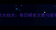 科学喂养5个月大幼犬每日喂食次数与营养管理全攻略