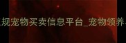 哈尔滨宠物交易网哈尔滨正规宠物买卖信息平台宠物领养与销售全攻略最新指南