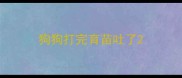 狗狗打完育苗吐了