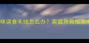 救命猫咪误食毛线怎么办家庭急救指南来啦