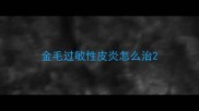 金毛过敏性皮炎怎么治