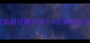 狗狗接种疫苗后狂躁不安5大原因及应对措施全