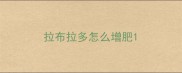 拉布拉多怎么增肥
