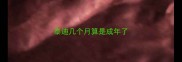 泰迪几个月算是成年了