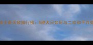 哈士奇天敌排行榜5种犬只如何与二哈和平共处