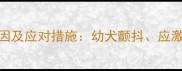 小狗发抖的12种原因及应对措施幼犬颤抖应激反应疾病预警全
