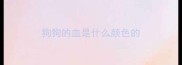 狗狗的血是什么颜色的