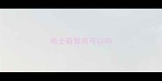 哈士奇智商可以吗