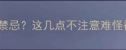 送狗狗当礼物有5大禁忌这几点不注意难怪被退回附避坑指南