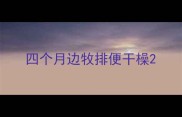 四个月边牧排便干橾