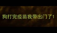 狗打完疫苗我带出门了