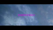 泰迪狗的发型设计