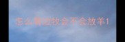 怎么看边牧会不会放羊
