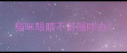 猫咪眼睛不舒服咋办