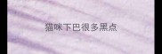 猫咪下巴很多黑点