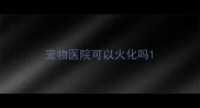 宠物医院可以火化吗