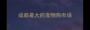 成都最大的宠物狗市场