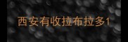 西安有收拉布拉多