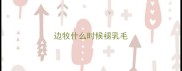 边牧什么时候褪乳毛