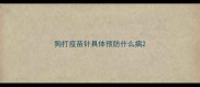 狗打疫苗针具体预防什么病
