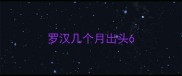 罗汉几个月出头6