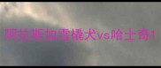 阿拉斯加雪橇犬vs哈士奇