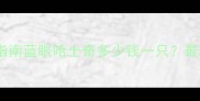 蓝眼哈士奇一岁价格及选购指南蓝眼哈士奇多少钱一只最新市场价与科学饲养全攻略