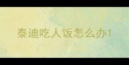 泰迪吃人饭怎么办