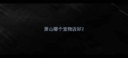 萧山哪个宠物店好