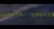边牧夏天洗澡后必须吹干吗边境牧羊犬夏季护理全攻略