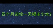 四个月边牧一天喝多少水