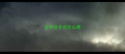 拉布拉多该怎么喂
