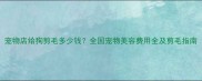 宠物店给狗剪毛多少钱全国宠物美容费用全及剪毛指南