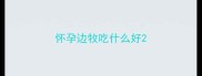 怀孕边牧吃什么好