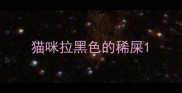 猫咪拉黑色的稀屎