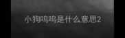 小狗呜呜是什么意思