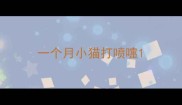 一个月小猫打喷嚏