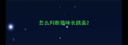怎么判断猫咪长跳蚤