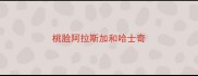 桃脸阿拉斯加和哈士奇