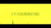 2个月的狗狗打嗝