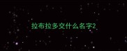 拉布拉多交什么名字