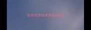 拉布拉多幼犬能运动吗