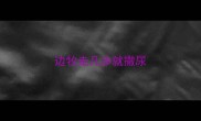 边牧走几步就撒尿
